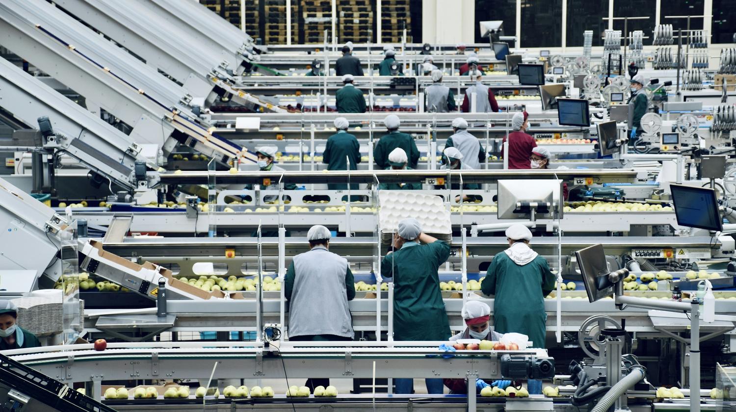 Trasabilitatea loturilor în producție: ghid MES practic