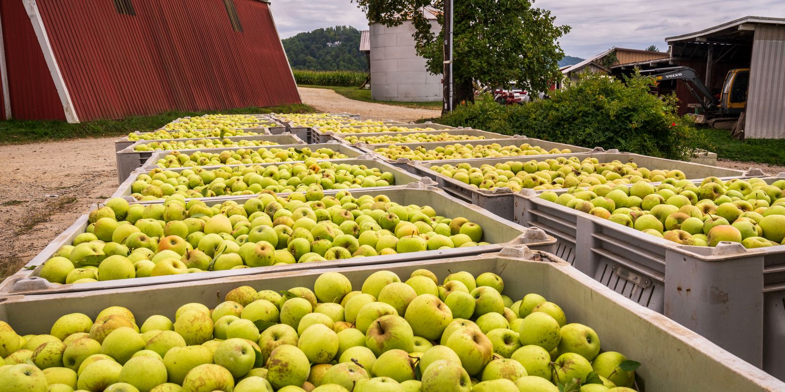 Depozit frigorific pentru fructe — depozitare pe adrese